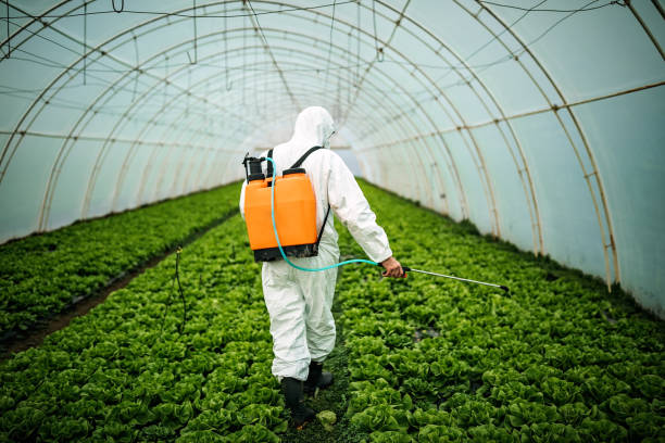 Best Pest Inspection Near Me  in Whittingham, NJ
