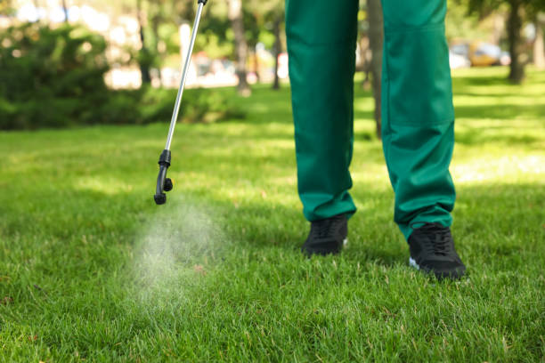 Professional Pest Control in Whittingham, NJ