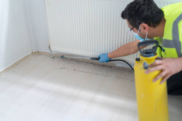 Best Wasp Removal Services  in Whittingham, NJ