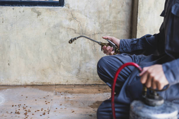 Best Pest Removal Services  in Whittingham, NJ